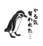 意外と使えるお疲れ家族ペンギン（個別スタンプ：15）