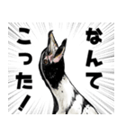 意外と使えるお疲れ家族ペンギン（個別スタンプ：18）