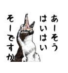 意外と使えるお疲れ家族ペンギン（個別スタンプ：19）