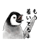 意外と使えるお疲れ家族ペンギン（個別スタンプ：21）