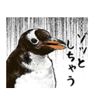 意外と使えるお疲れ家族ペンギン（個別スタンプ：24）