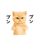 ▶︎動く！猫スタンプ（個別スタンプ：17）