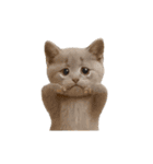 ▶︎動く！猫スタンプ（個別スタンプ：18）
