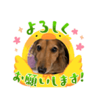 そら、ツユ子（個別スタンプ：1）