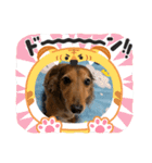 そら、ツユ子（個別スタンプ：2）