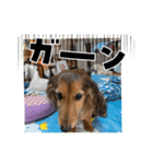 そら、ツユ子（個別スタンプ：3）