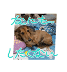 そら、ツユ子（個別スタンプ：6）