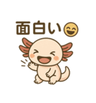 ウーパールーパーたぬたぬ（個別スタンプ：1）