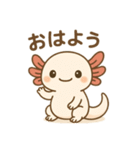 ウーパールーパーたぬたぬ（個別スタンプ：2）