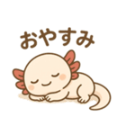 ウーパールーパーたぬたぬ（個別スタンプ：3）