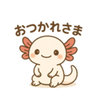 ウーパールーパーたぬたぬ（個別スタンプ：4）