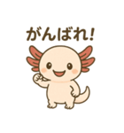 ウーパールーパーたぬたぬ（個別スタンプ：5）