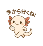 ウーパールーパーたぬたぬ（個別スタンプ：6）