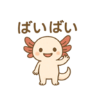 ウーパールーパーたぬたぬ（個別スタンプ：8）
