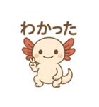 ウーパールーパーたぬたぬ（個別スタンプ：9）
