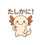 ウーパールーパーたぬたぬ（個別スタンプ：10）