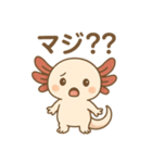 ウーパールーパーたぬたぬ（個別スタンプ：11）