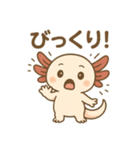 ウーパールーパーたぬたぬ（個別スタンプ：12）