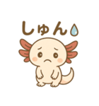 ウーパールーパーたぬたぬ（個別スタンプ：13）