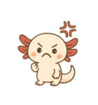 ウーパールーパーたぬたぬ（個別スタンプ：14）