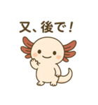 ウーパールーパーたぬたぬ（個別スタンプ：20）