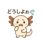 ウーパールーパーたぬたぬ（個別スタンプ：23）