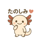 ウーパールーパーたぬたぬ（個別スタンプ：24）