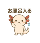 ウーパールーパーたぬたぬ（個別スタンプ：25）