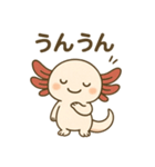 ウーパールーパーたぬたぬ（個別スタンプ：26）