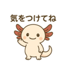 ウーパールーパーたぬたぬ（個別スタンプ：28）