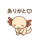 ウーパールーパーたぬたぬ（個別スタンプ：30）