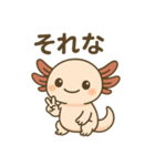 ウーパールーパーたぬたぬ（個別スタンプ：31）
