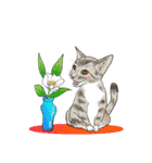 ラー・トゥイ⑤猫ズ（個別スタンプ：1）