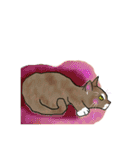 ラー・トゥイ⑤猫ズ（個別スタンプ：3）
