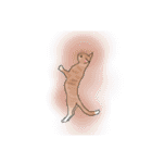 ラー・トゥイ⑤猫ズ（個別スタンプ：4）