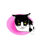 ラー・トゥイ⑤猫ズ（個別スタンプ：5）