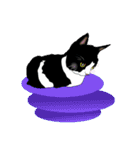 ラー・トゥイ⑤猫ズ（個別スタンプ：7）