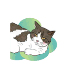 ラー・トゥイ⑤猫ズ（個別スタンプ：10）