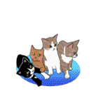 ラー・トゥイ⑤猫ズ（個別スタンプ：12）