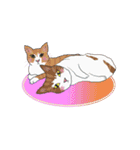ラー・トゥイ⑤猫ズ（個別スタンプ：14）