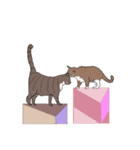 ラー・トゥイ⑤猫ズ（個別スタンプ：16）