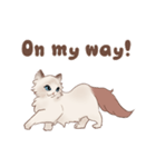 フレンズキャット -ラグドール-（個別スタンプ：8）