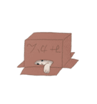 フレンズキャット -ラグドール-（個別スタンプ：24）