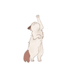 フレンズキャット -ラグドール-（個別スタンプ：35）