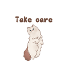 フレンズキャット -ラグドール-（個別スタンプ：40）