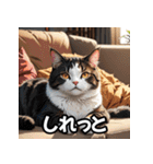 にゃんムード（個別スタンプ：36）