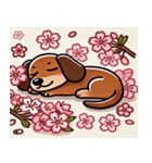 ダックスフンドと桜のスタンプ@SFW（個別スタンプ：3）