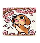 ダックスフンドと桜のスタンプ@SFW（個別スタンプ：5）