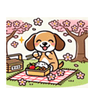 ダックスフンドと桜のスタンプ@SFW（個別スタンプ：20）