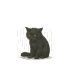 にゃんこは語らず（個別スタンプ：1）